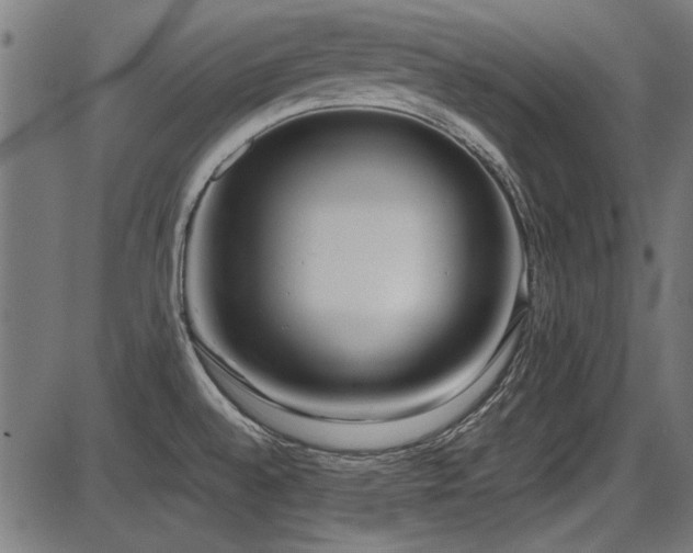 X0000087641528200705031458