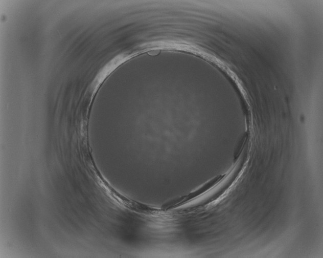 X0000087641529200705031458