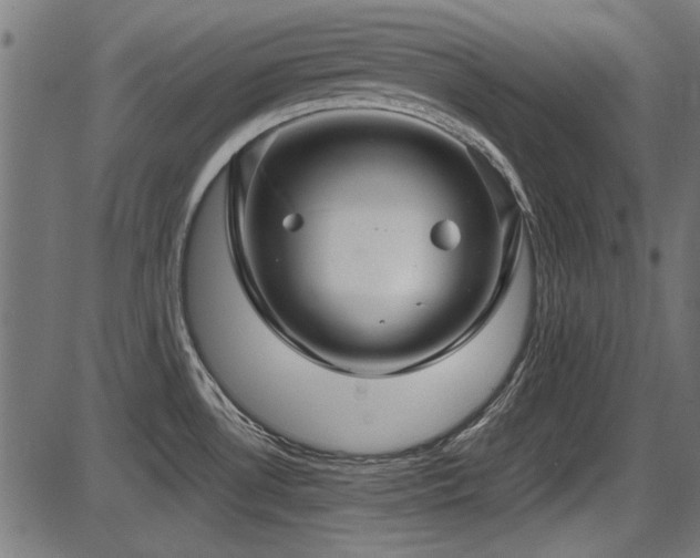 X0000087641530200705031458