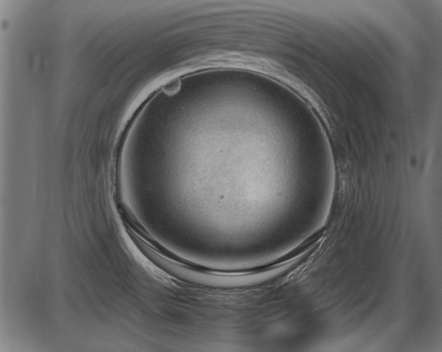 X0000087641531200705031458