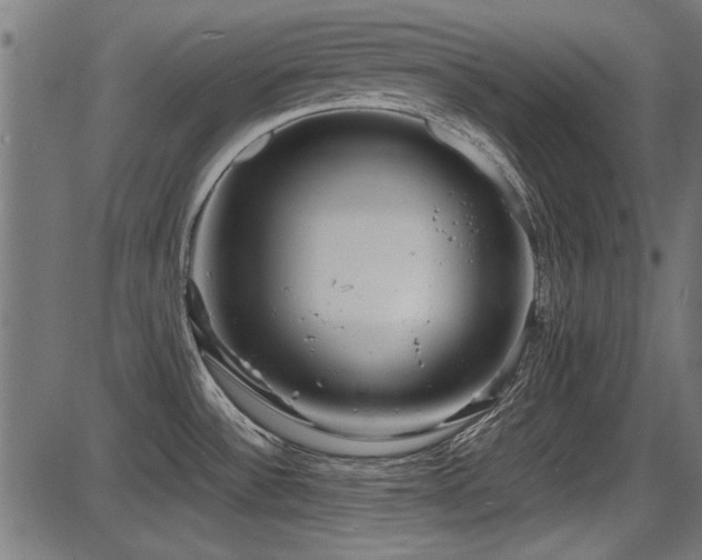 X0000087641532200705031458