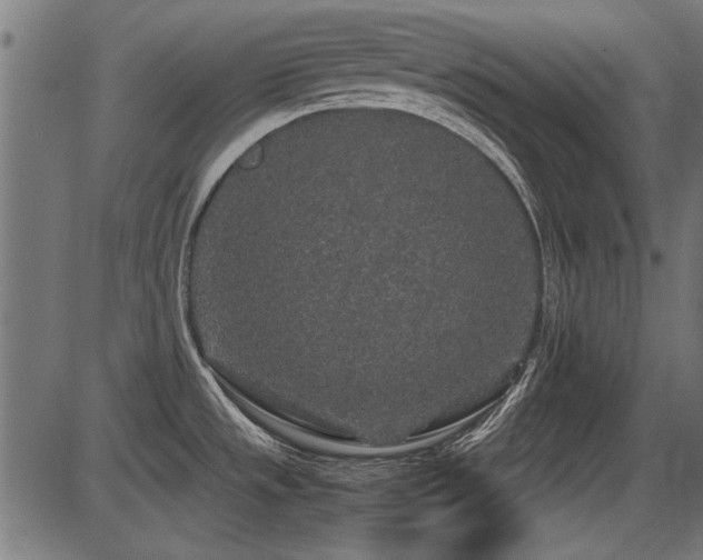 X0000087641533200705031458