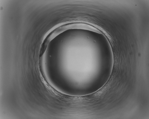 X0000087641534200705031458