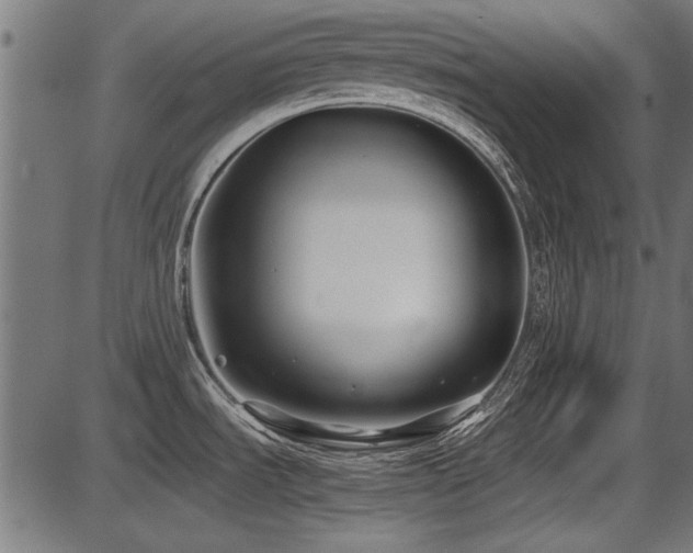 X0000087641535200705031458