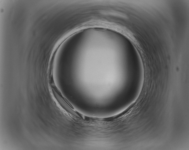 X0000087641536200705031458