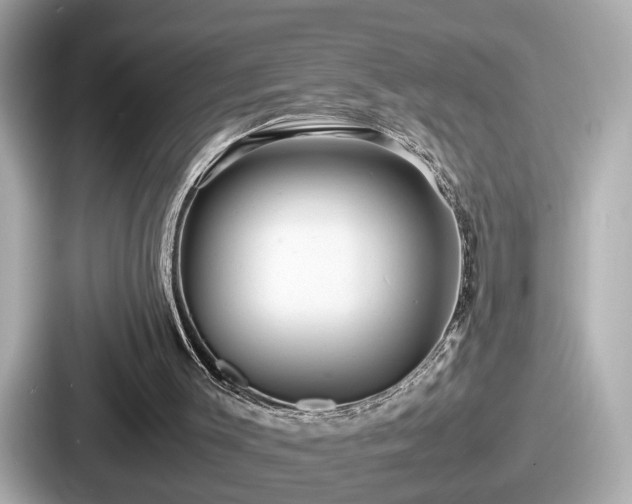 X0000087640003200705101057