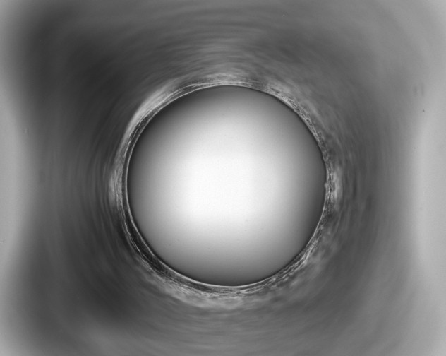 X0000087640004200705101057