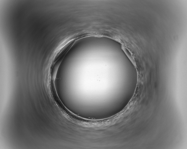 X0000087640005200705101057