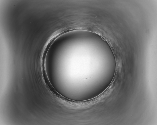 X0000087640006200705101057