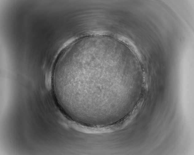 X0000087640012200705101057