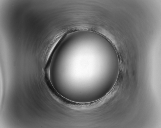 X0000087640013200705101057