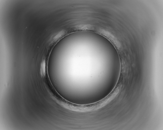 X0000087640014200705101057