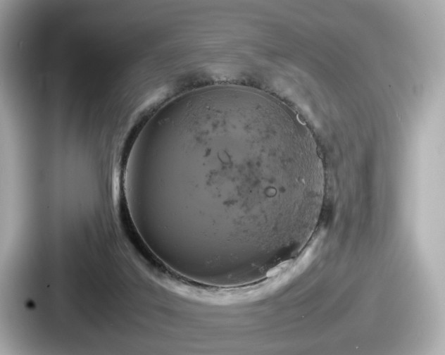 X0000087640019200705101056