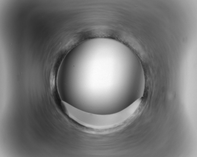 X0000087640021200705101056