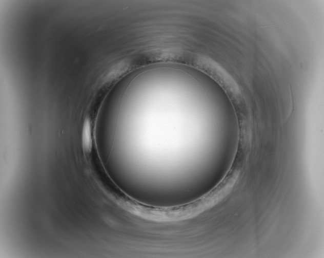 X0000087640022200705101056