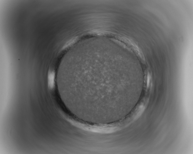 X0000087640024200705101056