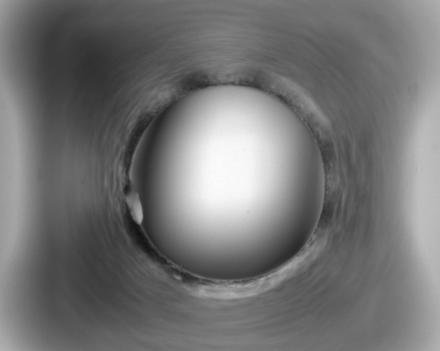 X0000087640025200705101056