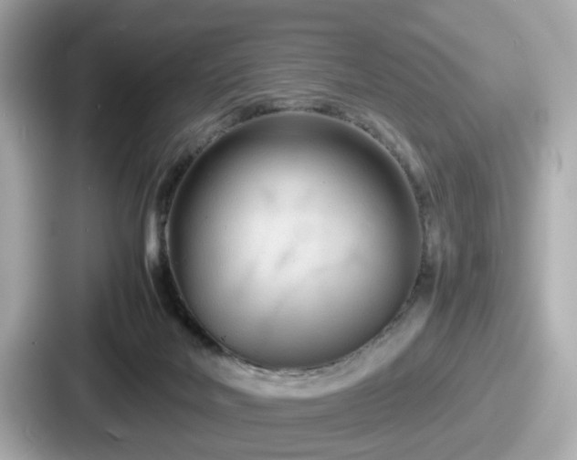 X0000087640026200705101056