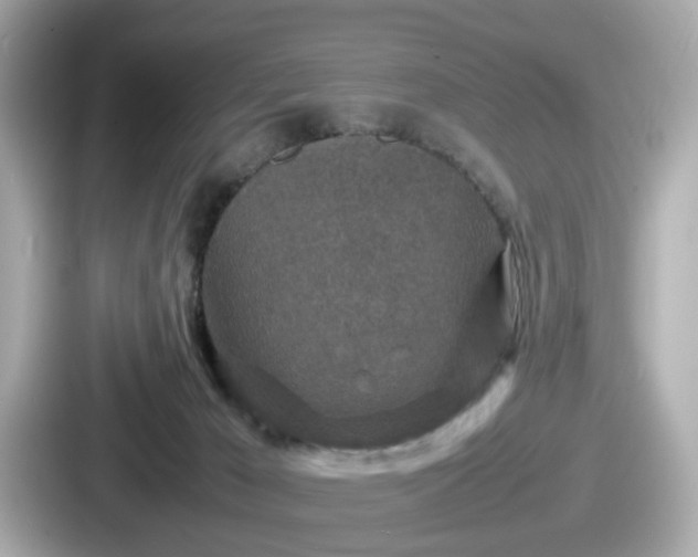 X0000087640029200705101056