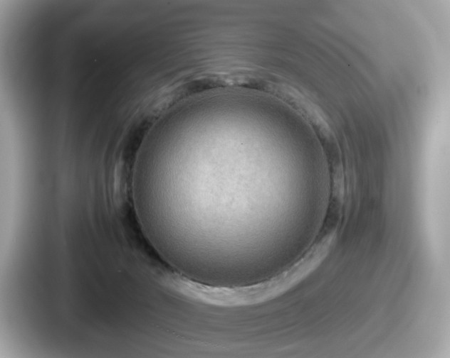 X0000087640030200705101056