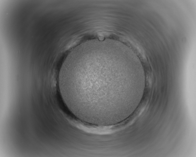 X0000087640032200705101056