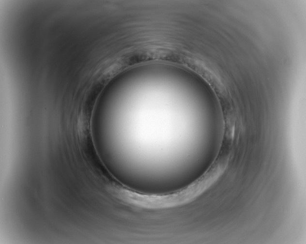 X0000087640034200705101056