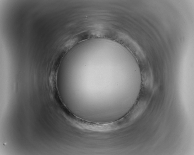 X0000087640036200705101056