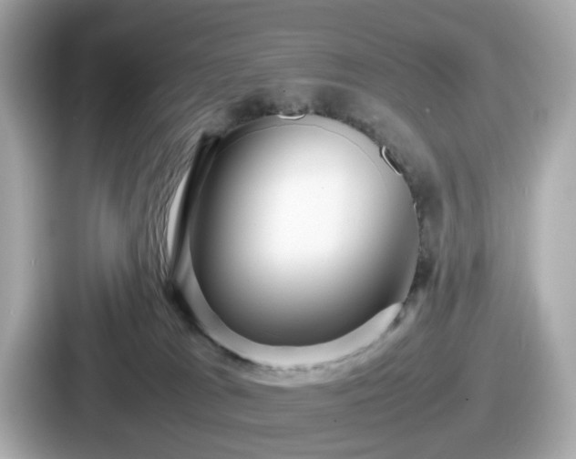 X0000087640037200705101056