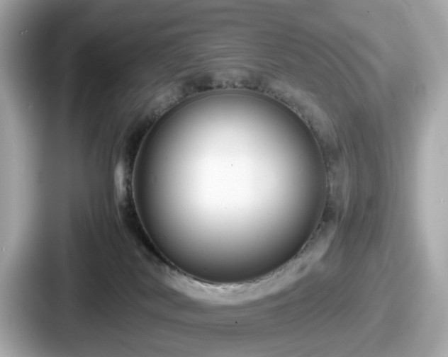 X0000087640038200705101056