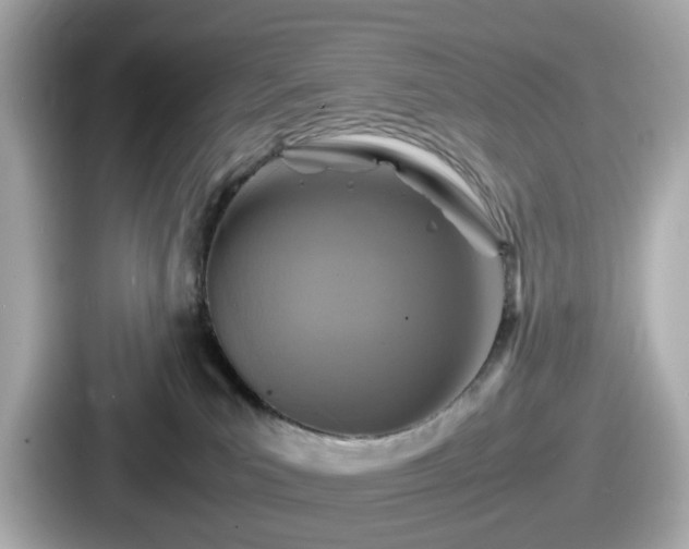 X0000087640039200705101056