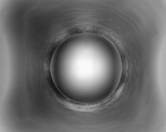 X0000087640040200705101056