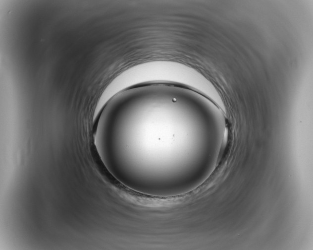 X0000087640044200705101056