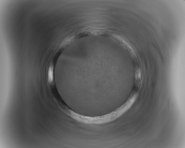 X0000087640046200705101056