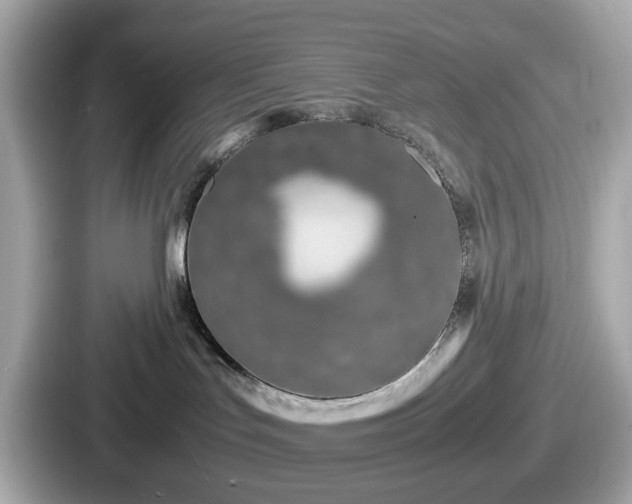 X0000087640047200705101056