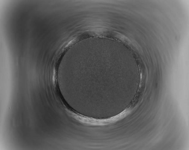 X0000087640048200705101056