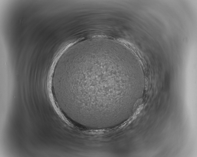 X0000087640049200705101055