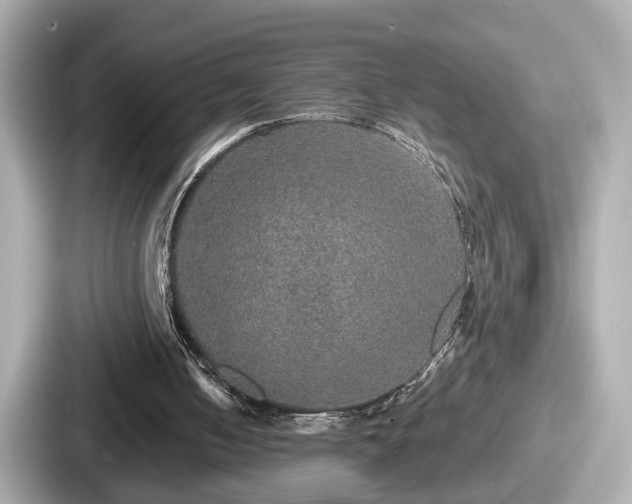 X0000087640050200705101055