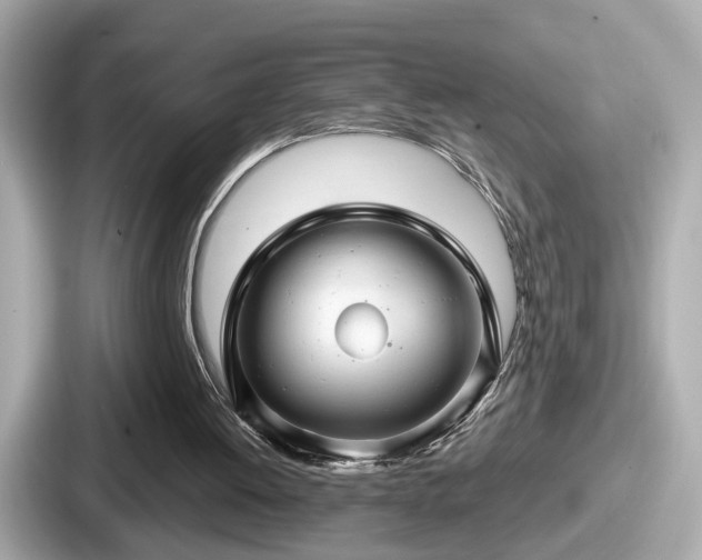 X0000087640052200705101055