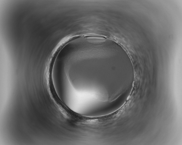 X0000087640054200705101056