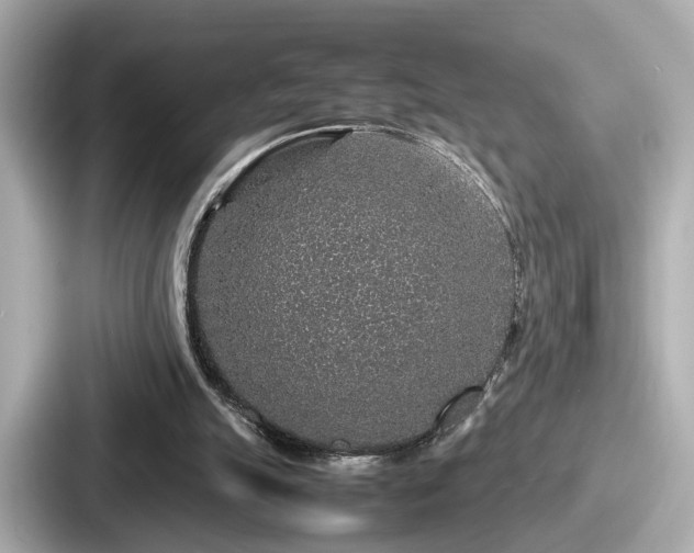 X0000087640055200705101056