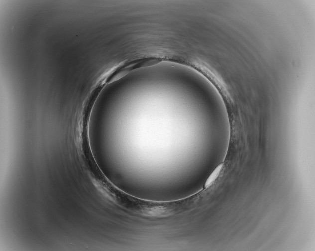 X0000087640058200705101056