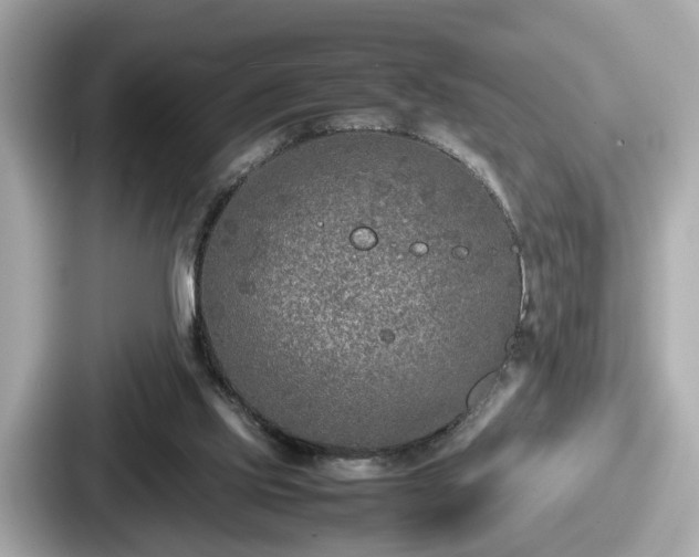 X0000087640061200705101056