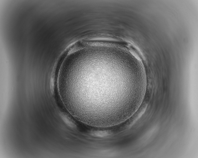 X0000087640063200705101056