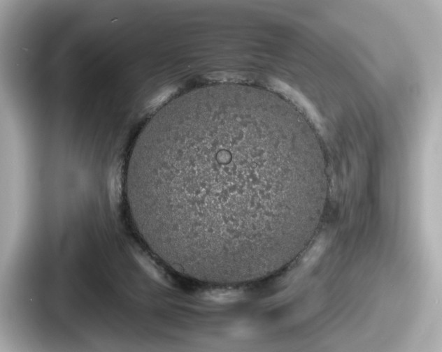 X0000087640065200705101056