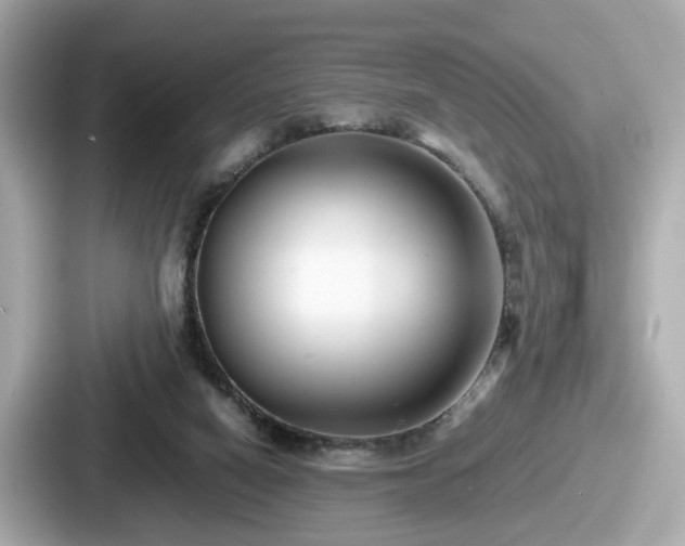 X0000087640066200705101056