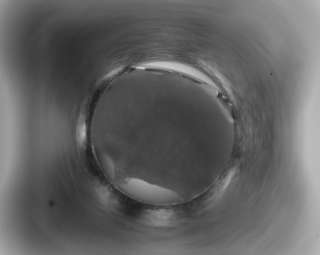 X0000087640067200705101056