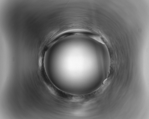 X0000087640070200705101056