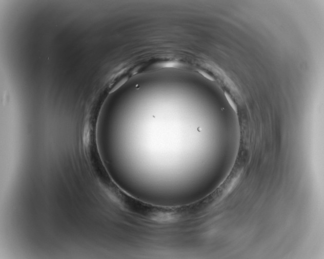 X0000087640071200705101056