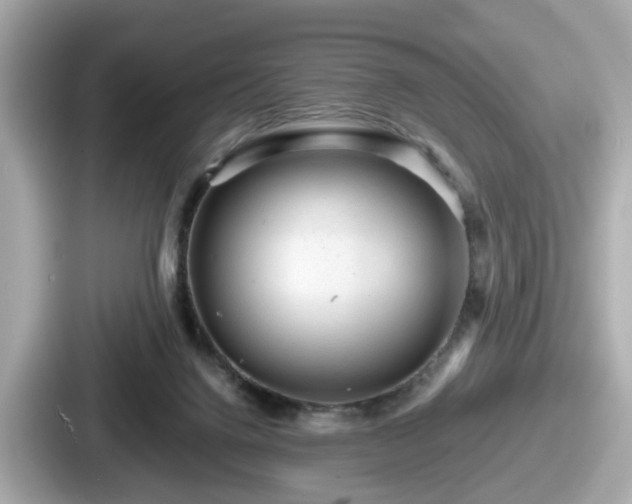 X0000087640072200705101056