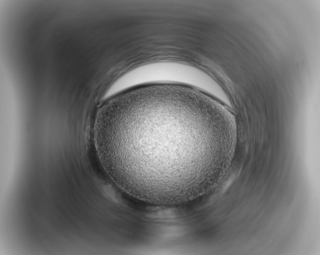 X0000087640073200705101056